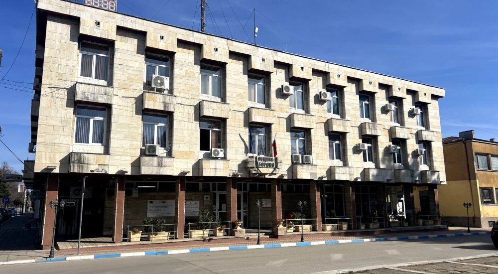 община борово