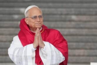 papa