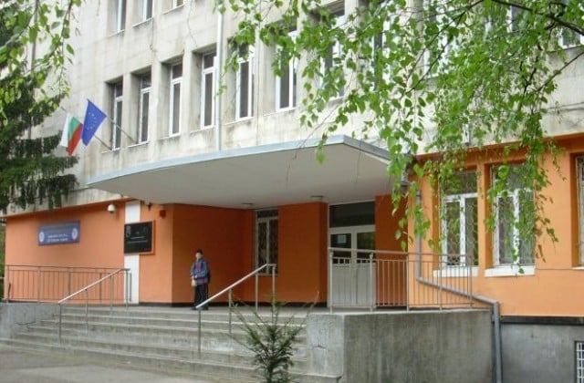 evropjeski eziczi